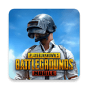 pubg(国际服)